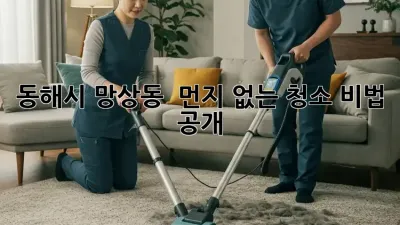 동해시 망상동, 🏖️ 먼지 없는 청소 비법 공개! 🏡✨